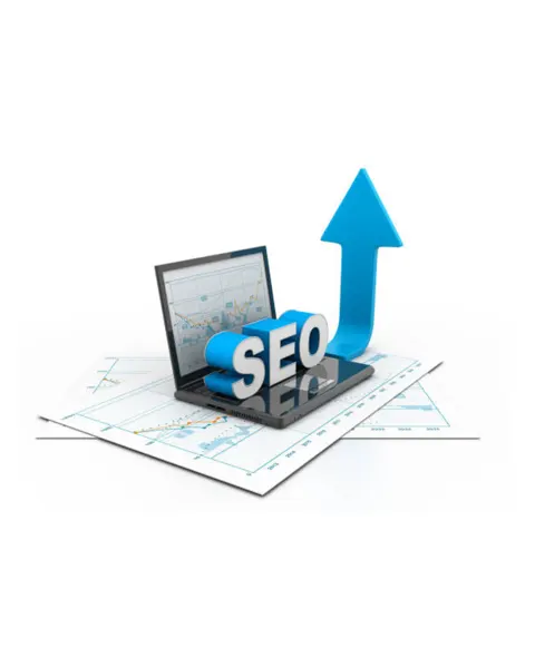 expert-SEO expert-SEO